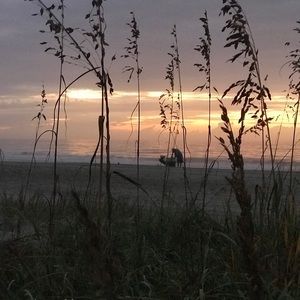 Meet your Posher, Tabatha